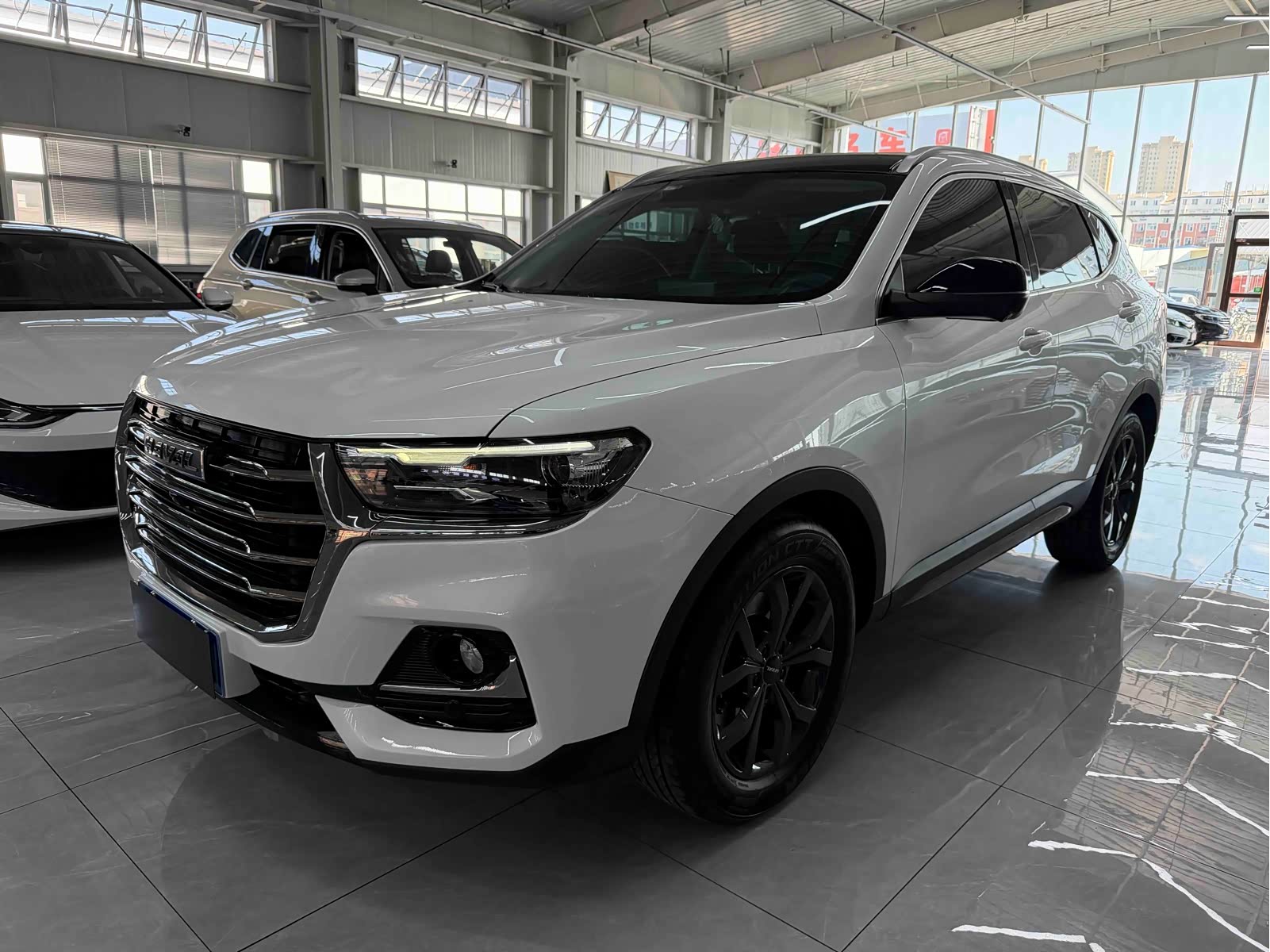 Haval H6 Champion, фото 1 из 1