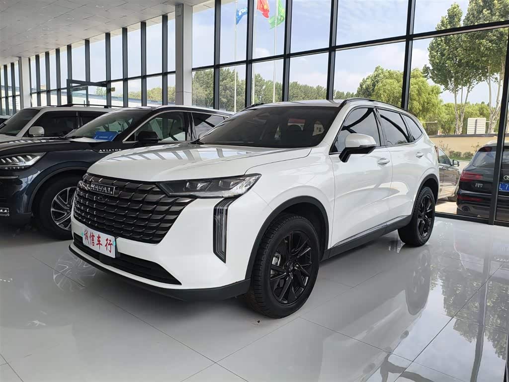Haval H6 Max, фото 1 из 1