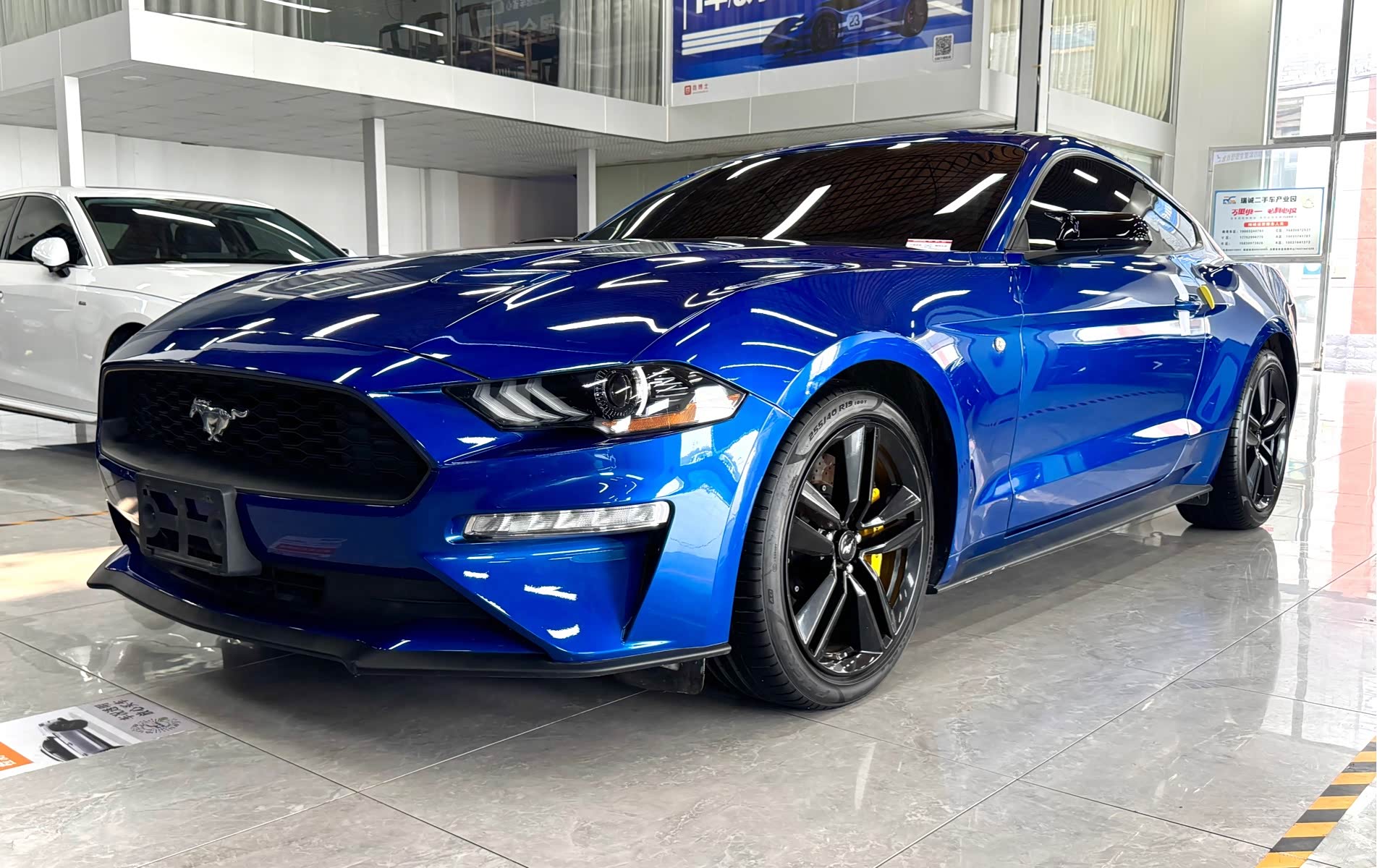 Ford Mustang, фото 1 из 1