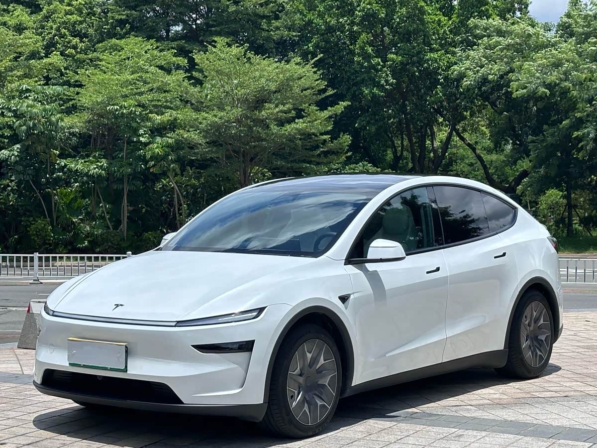 Tesla Model Y, фото 1 из 1