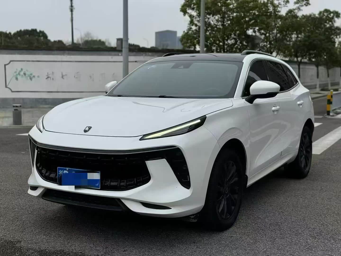 DongfengFengxing T5, фото 1 из 1