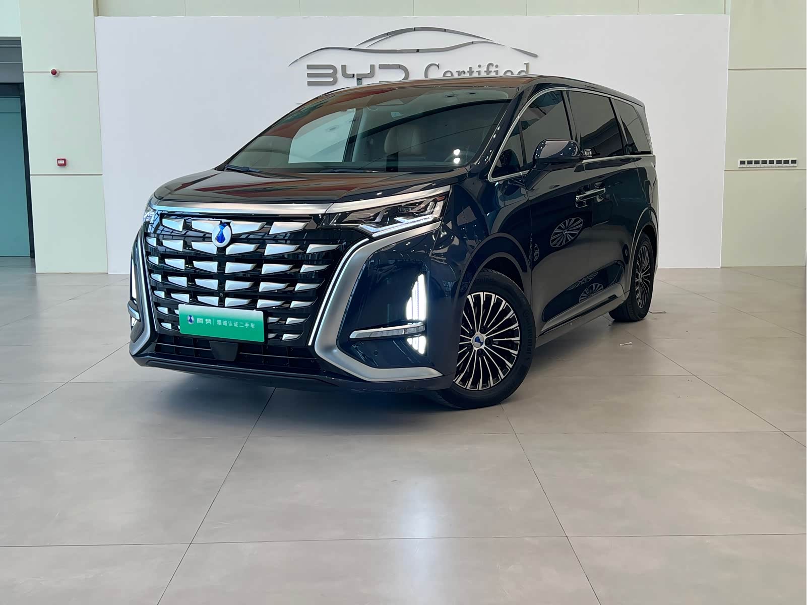 Denza D9, фото 1 из 1