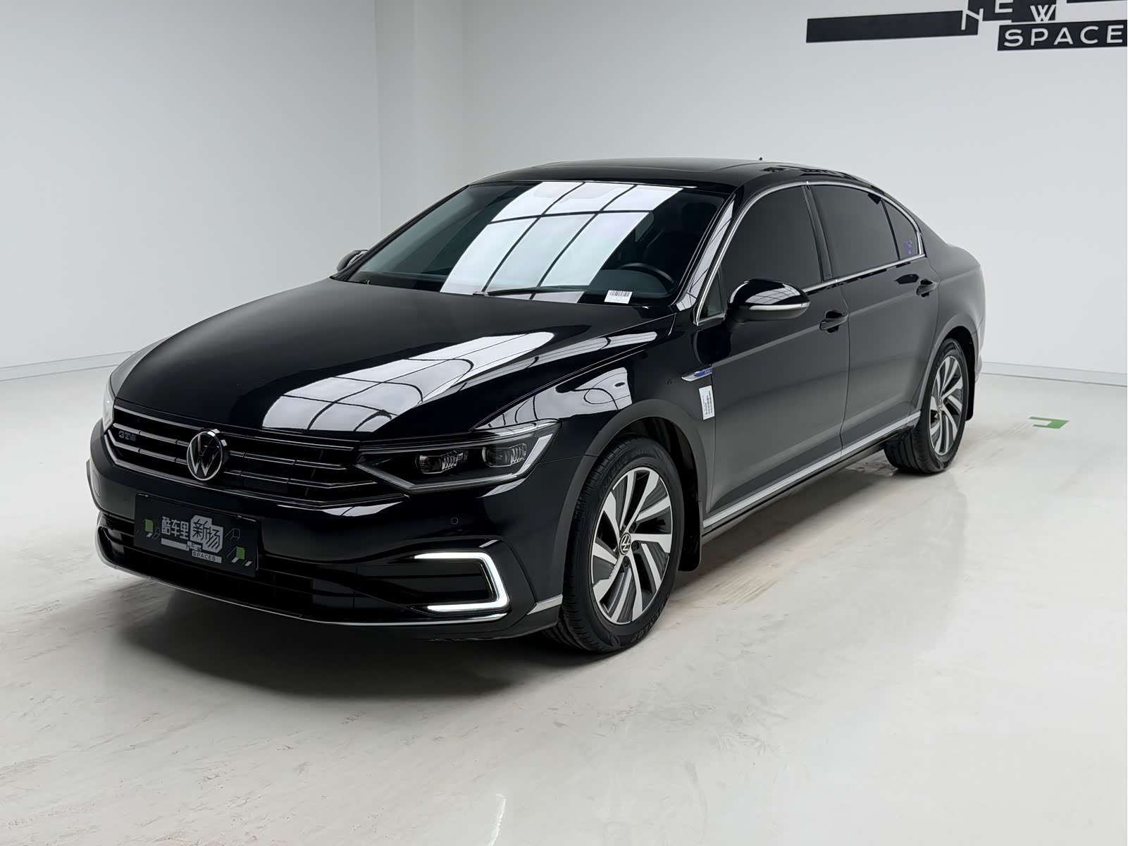 Volkswagen Magotan, фото 1 из 1